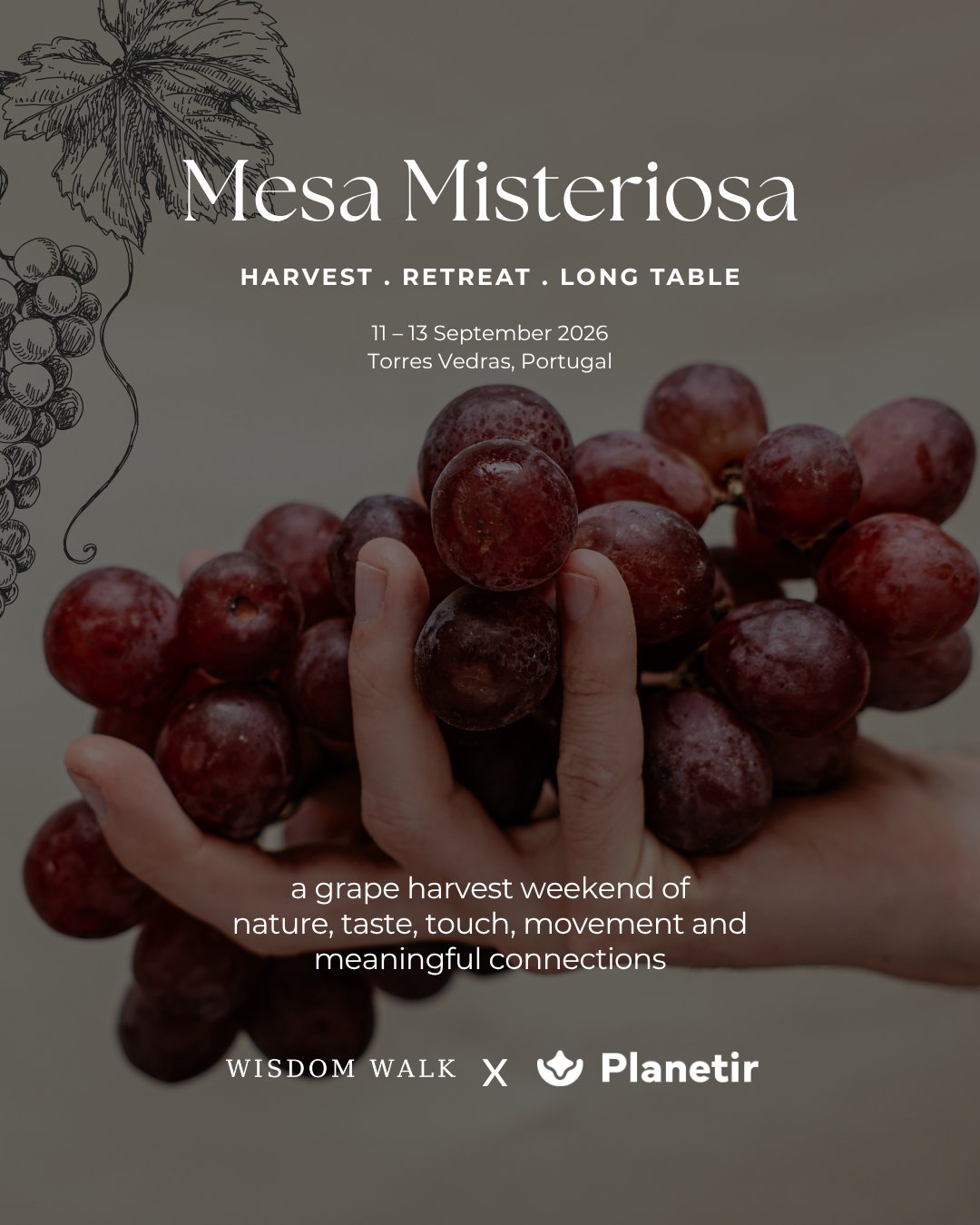 Grape Harvest &mdash; Mesa Misteriosa, Torres Vedras, Portugal
